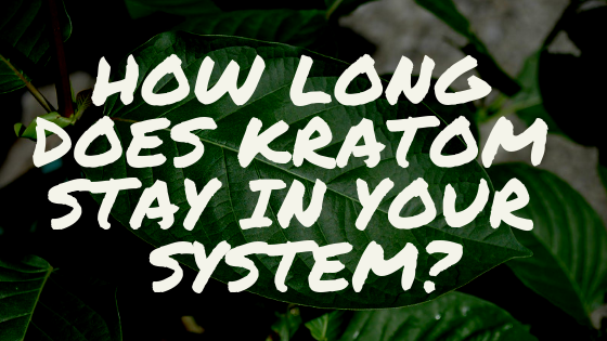 How Long Does Kratom Stay In Your System