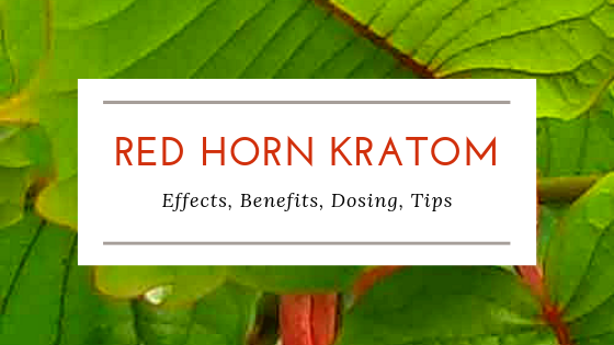 What Is Red Horn Kratom - Kratom Exchange