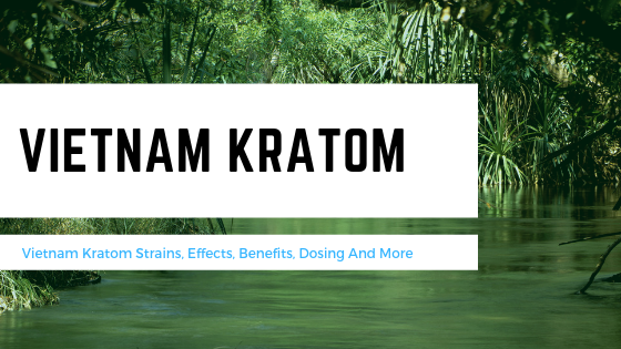 What Is Vietnam Kratom? - Kratom Exchange