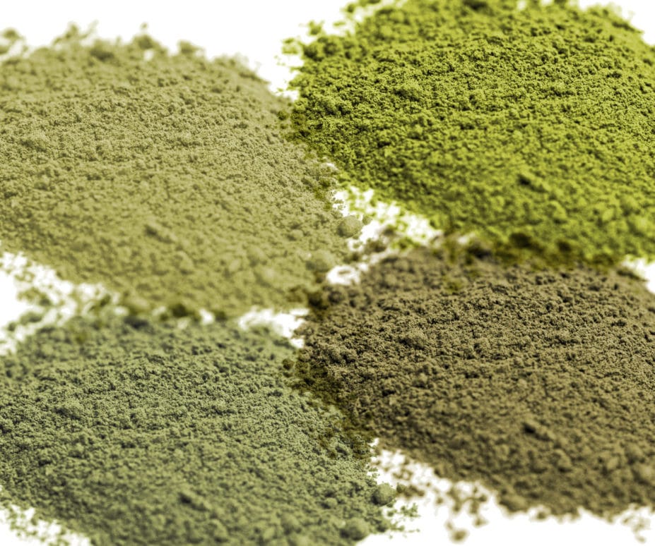 Kratom Powder - Kratom Exchange