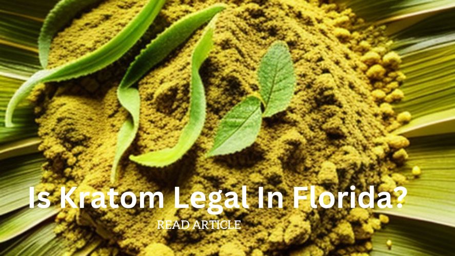 kratom legality in florida-read here all important facts on kratom exchange