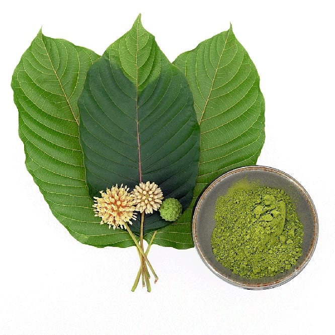 kratom leaf and powder-buy kratom products from kratom exchange